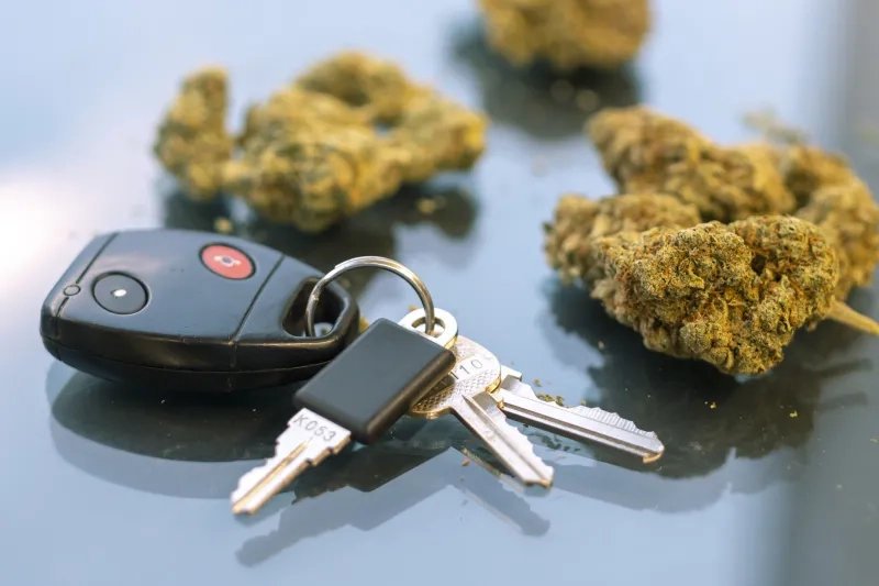 Dried cannabis and car keys on a glass table